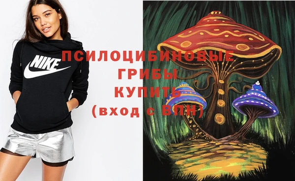 амфетамин Богородицк