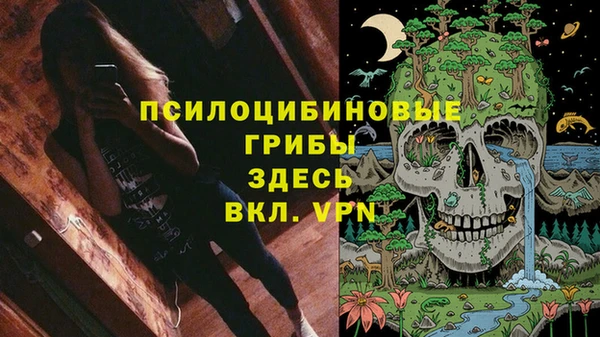СК Богданович