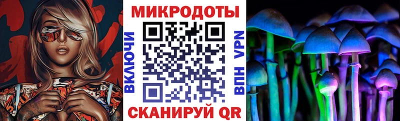 сколько стоит  Пионерский  Галлюциногенные грибы GOLDEN TEACHER 